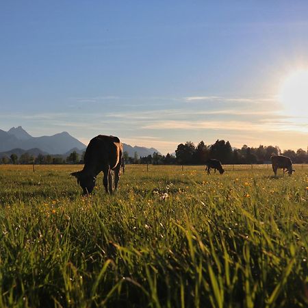 Gaestehaus Koepf Füssen Esterno foto
