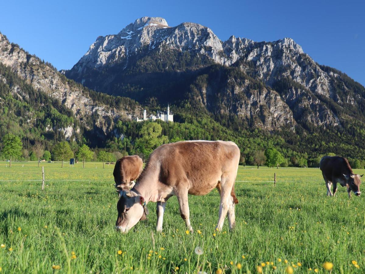 Gaestehaus Koepf Füssen Esterno foto